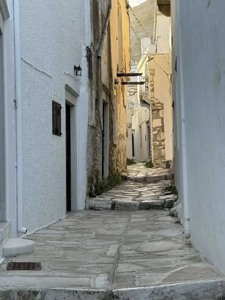 Απείρανθος Περιήγηση απο Anefanos Tours 5